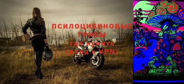 твердый Балахна