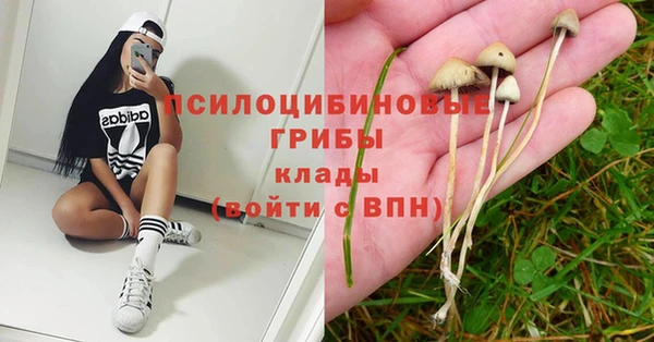 твердый Балахна