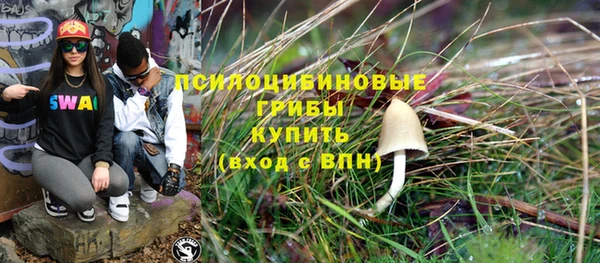 apvp Протвино